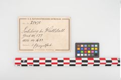 Etikett zu Eisenlappenbeil (NHMW-PRAE-025475)